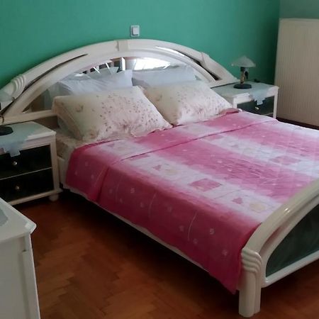 Toula Apartment Litóchoron Esterno foto