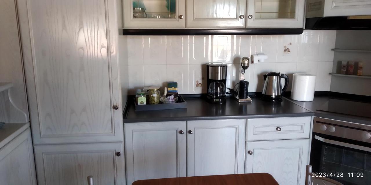 Toula Apartment Litóchoron Esterno foto