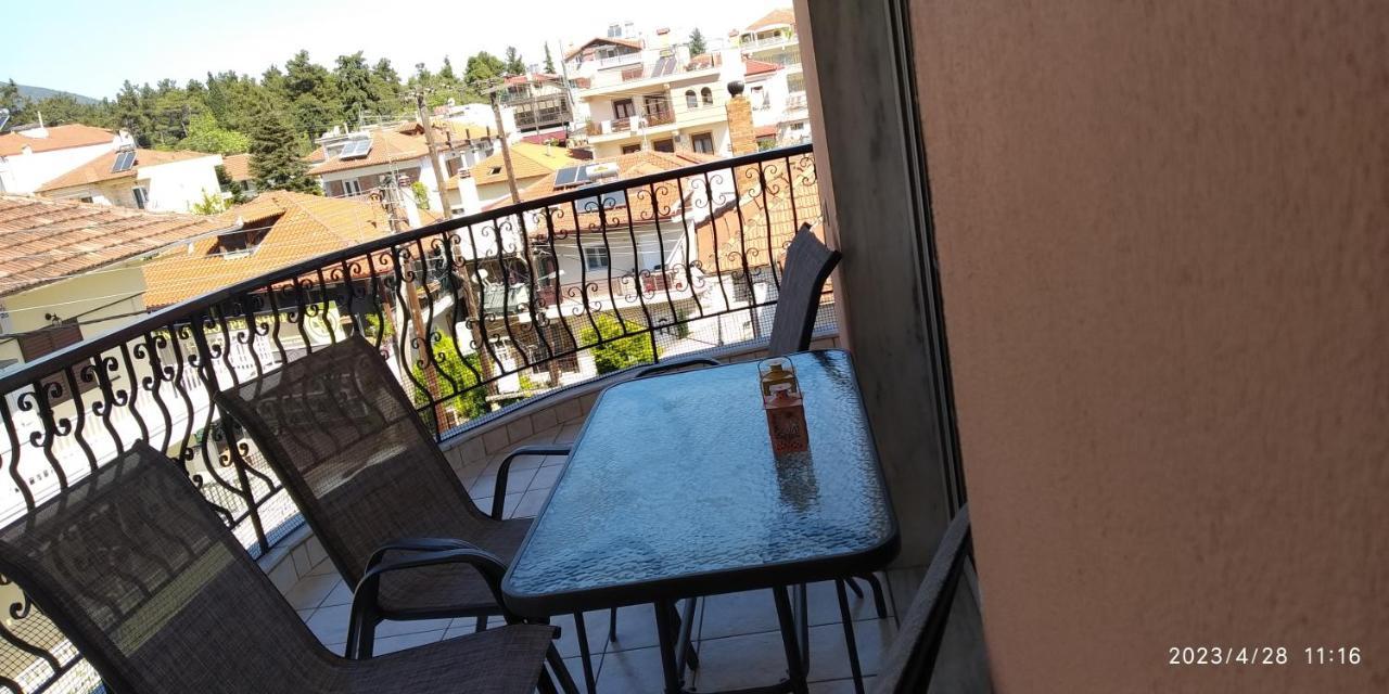Toula Apartment Litóchoron Esterno foto